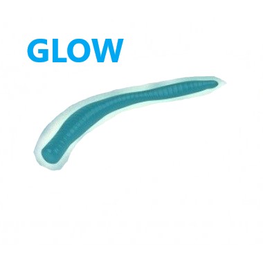 Приманка Cool Place Bomber 7шт 80мм голубой GLOW